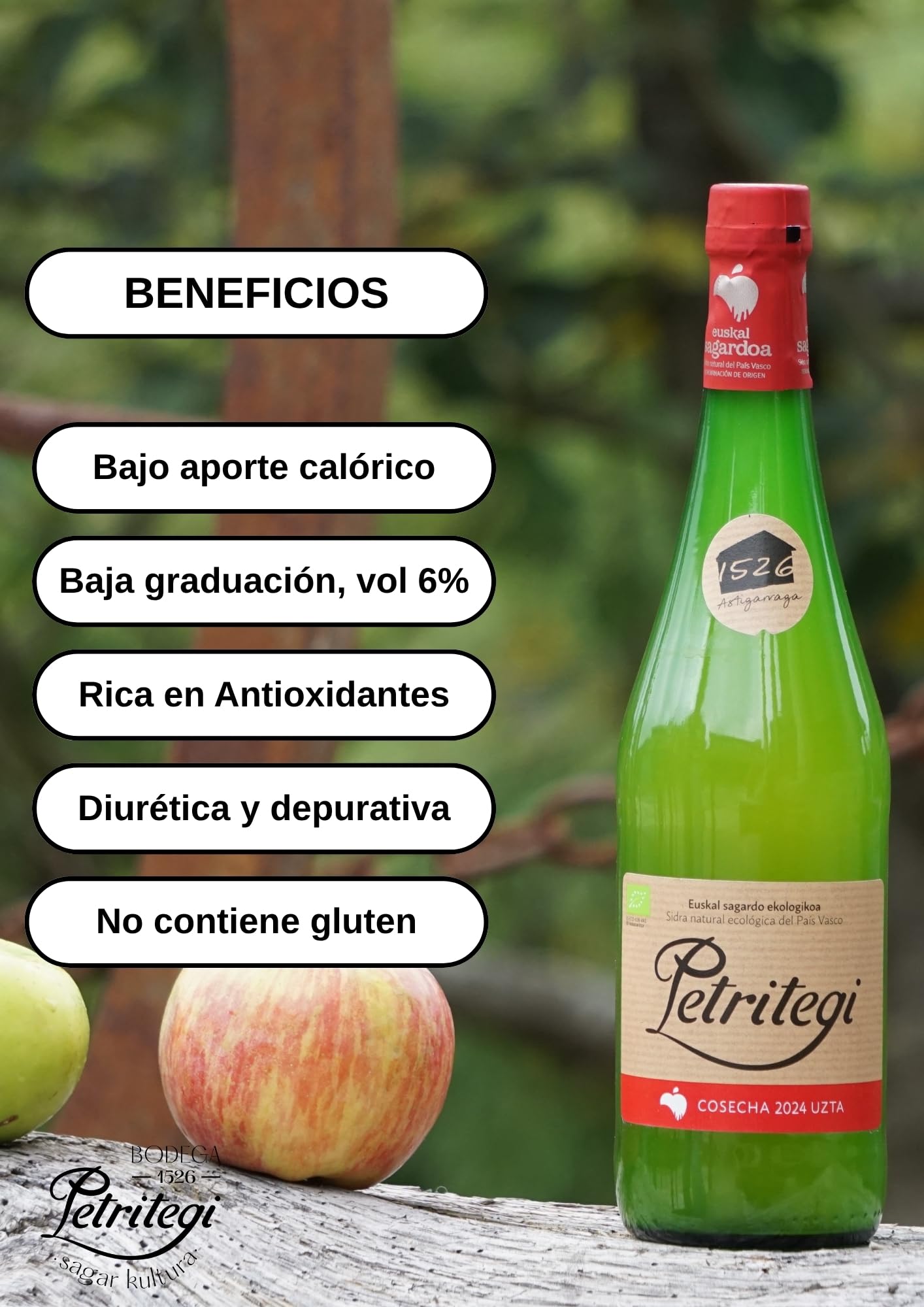 Petritegi Eko Euskal Sagardoa – Sidra Ecológica 100% Manzana Vasca | DO Euskal Sagardoa | Producción Sostenible y Ecológica | 6% Vol (Pack 6)