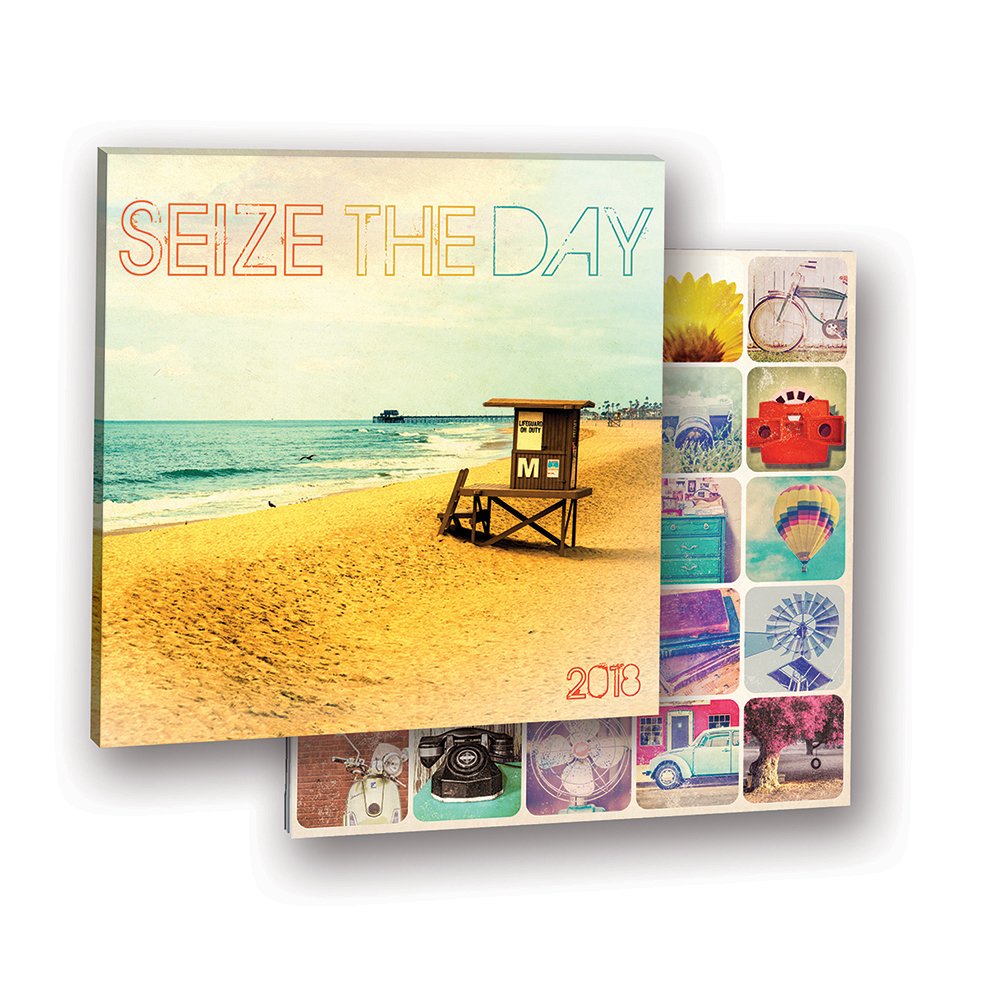 Orange Circle Studio Kalendarz ścienny z albumem 2018, "Seize the Day"