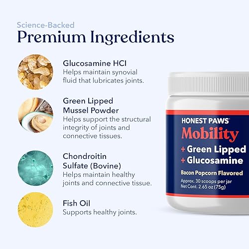 Miniatura 4 de Honest Paws Glucosamina para perros - Suplemento en polvo para articulaciones y movilidad con mejillón de labios verdes, aceite de pescado y MSM -