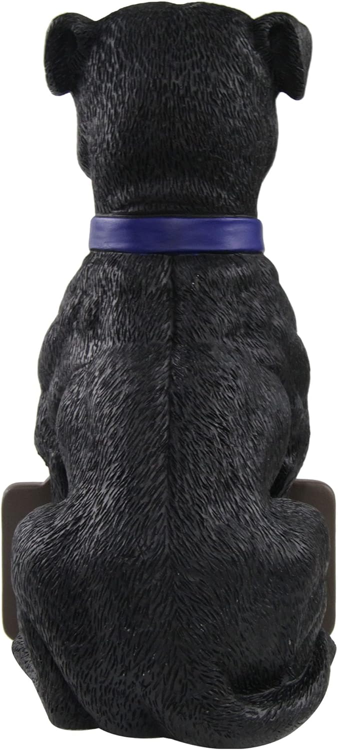 FOCO NCAA Unisex-Adult 11" Dog Welcome