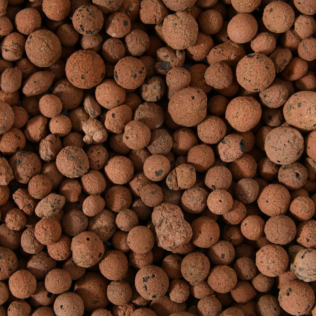 Premium Clay Pebbles, Expanded LECA Balls for Terrariums, Orchids, Mossariums and Plant Pots, Drainage Layer for Hydroponics, Aeration and Root Health, 0.3 L to 10 L (1 L)