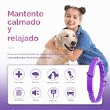 Ver la foto 4