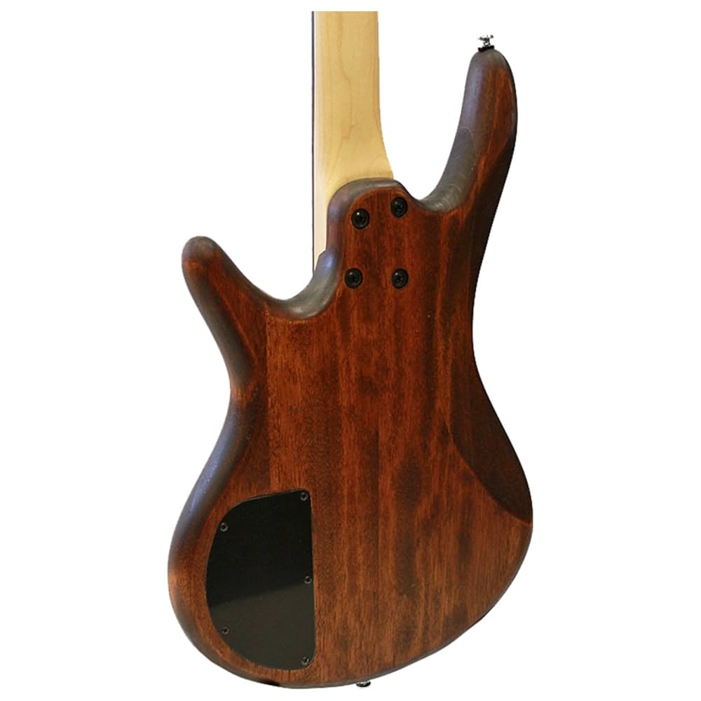 Ibanez GSR100EX GIO - Mahogany Oil : Amazon.ca: Musical