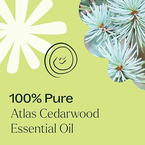 Miniatura 5 de Certificación orgánica USDA Atlas aceite esencial 100% puro, sin diluir, de grado terapéutico