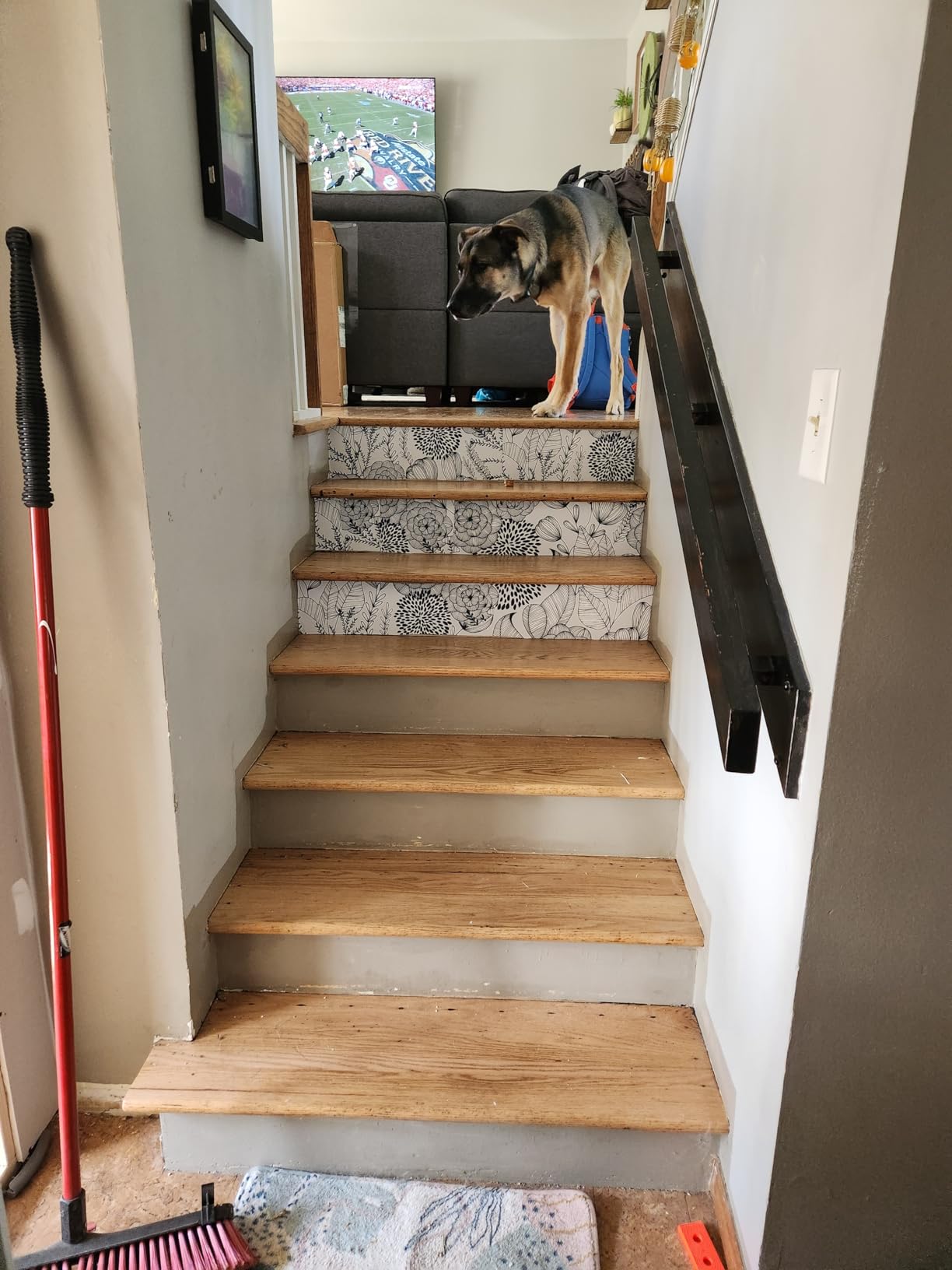 6/mo Finance NuWallpaper NUS3830 Navy Secret Garden Peel & Stick Wallpaper, Blue Buy Now