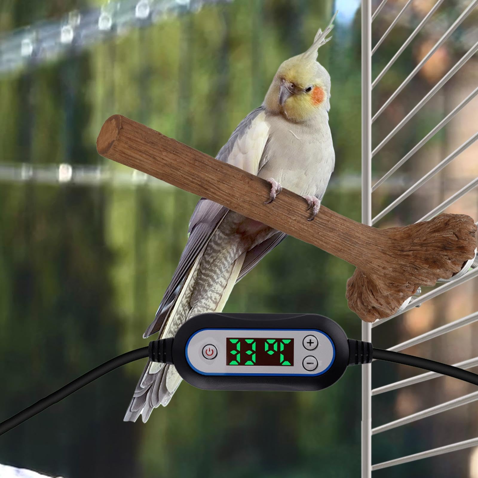 Perchoir chauffant destiné aux oiseaux, chauffage thermostatique pour cage à oiseaux, perchoir chauffé pour perruches, perroquets, calopsittes, protection contre le froid, installation facile