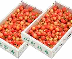 Amazon.co.jp: 山形県産 ご家庭用 さくらんぼ 佐藤錦 2kg (M