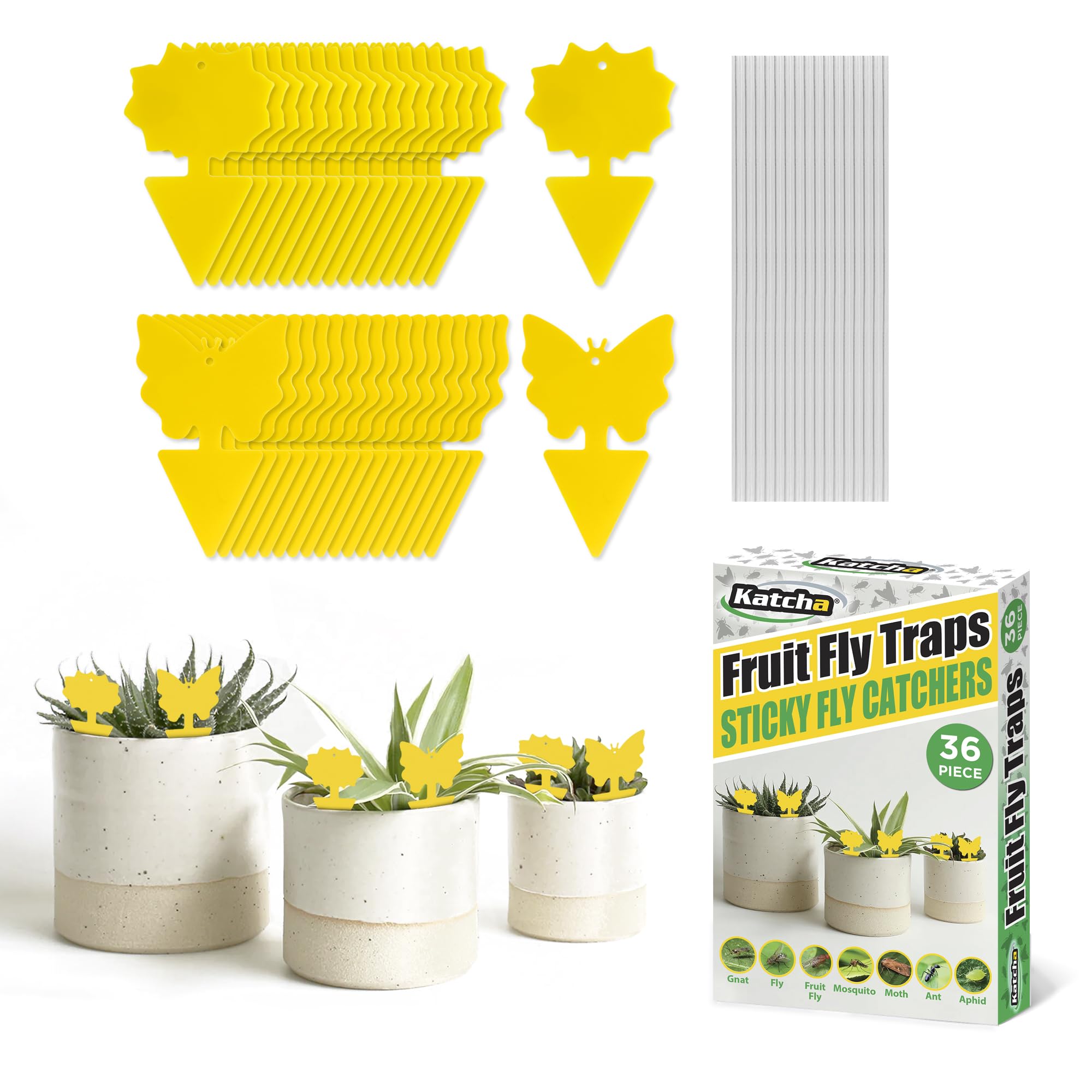 Katcha Fruit Fly Traps, 36 Count