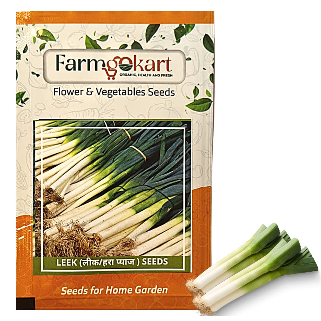 Farmgokart | 10 Gms of LEEK/GREEN ONION SEEDS|Approx 3000 Seeds per Packet| High Germination Quality Vegetable and Herbs Seeds Pouch | for Home Gardening, Farming and Planting (B0BNXHQGGS) Amazon Price History, Amazon Price Tracker