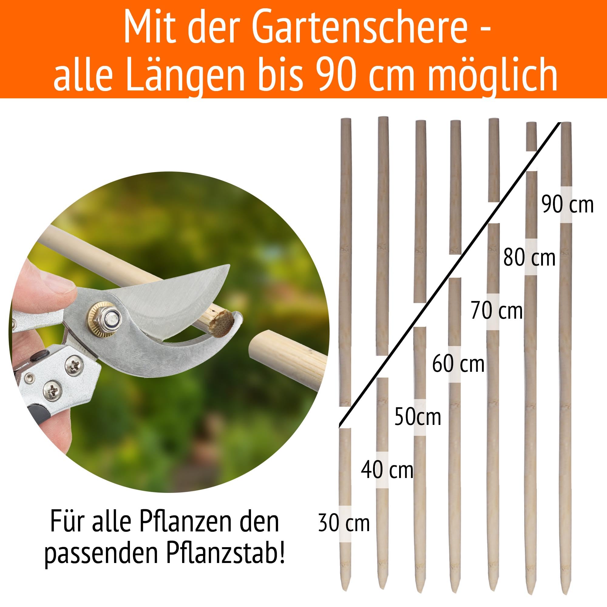 100 Pflanzstäbe Pflanzenstütze 90 cm x 6 mm Dm. Rankhilfe für Pflanzen, Pflanzstab, Pflanzenstab, Bambus Stäbe Holz, Tomatenstangen, Pflanzenstützen