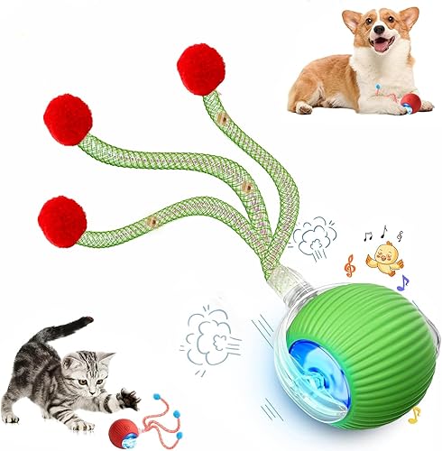 Speed 2.0 Tail - Juguetes interactivos para gatos de interior, juguete para gatos que cantan y activan el movimiento, juguete inteligente de bola