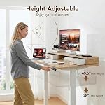 Grandder 47 * 24 Inch Electric Standing Desk with Two Drawers, Sit to Stand Up Height Adjustable Desk with Storage Shelf for Home Office, Study, Ergonomic Adjustable Computer Desk, Oak