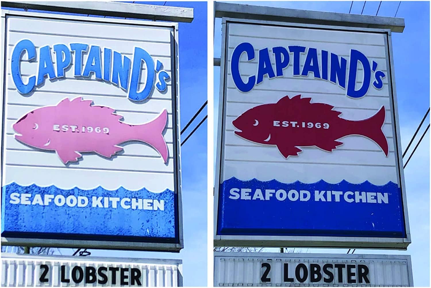 Vinyl Renu Premium Siding Restorer and Cleaner Kit Restores the Original Color and Beauty to Vinyl, Aluminum, & Hardie Board Also Works Great on Garage Doors, Front Doors & All Faded Exterior Surfaces