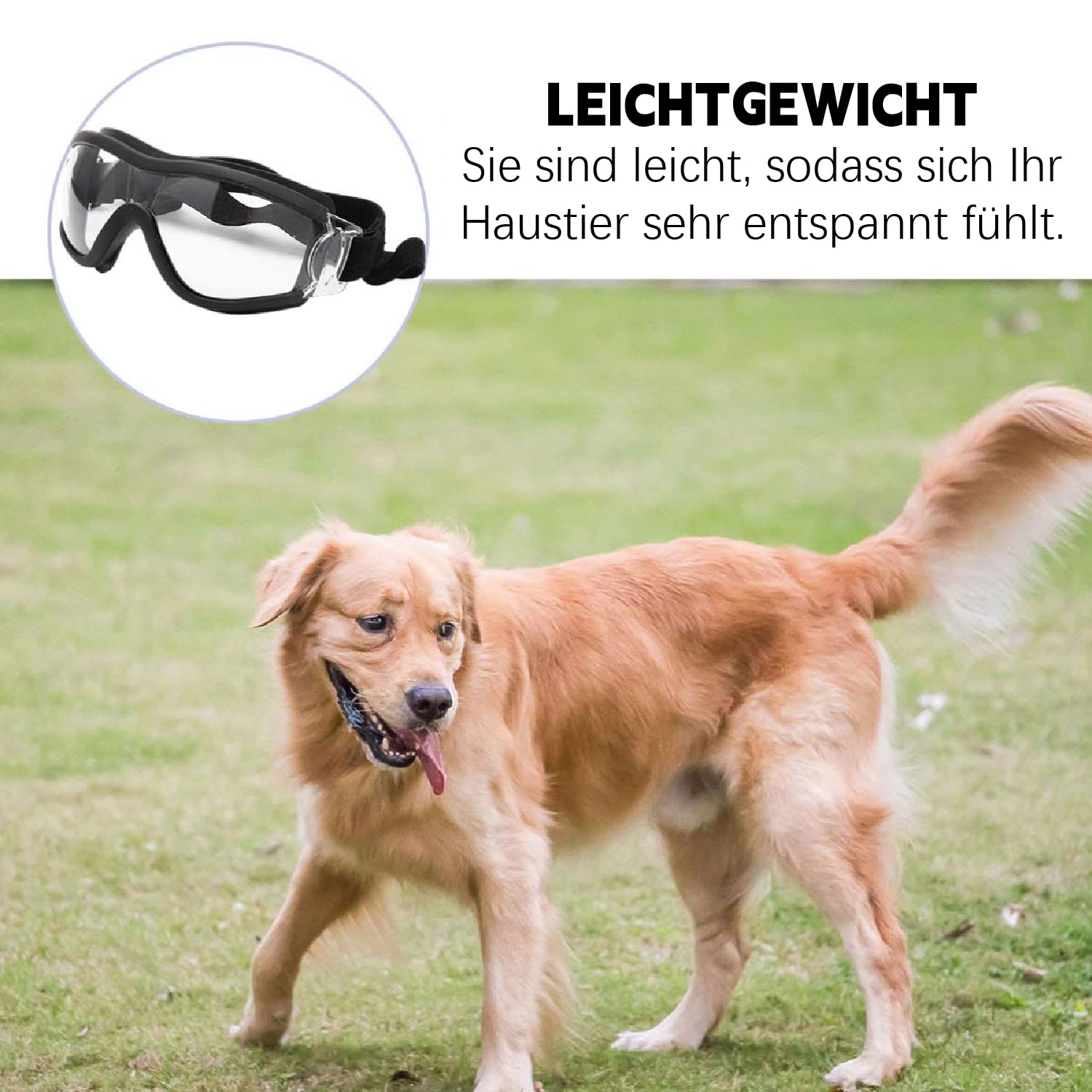 occhiali da sole per cani, occhiali protettivi per cani di taglia grande, occhiali da sole con protezione UV, occhiali da sole regolabili per cani, occhiali protettivi per cani di taglia