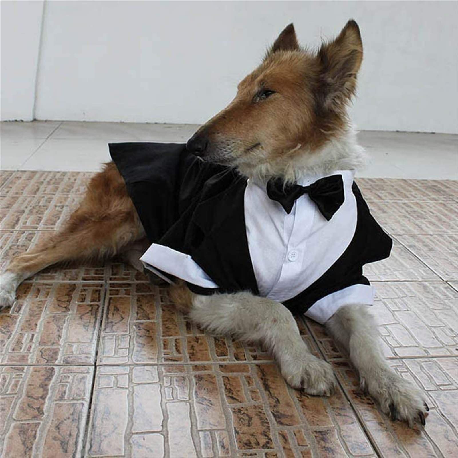 Amazon 犬 タキシード 大型犬 Amazon 大型犬の結婚式のスーツの服装 大型犬のタキシードコスチュームフォーマルなパーティーの衣装 フィットゴールデンレトリバー ピットブル ラブラドール サモイード Color Black, Size X-Large KASVIN コスチューム 通販