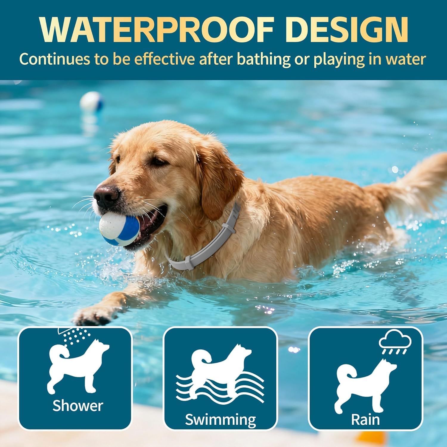 Flea & Tick Collar for Dogs: 8 Month Protection, Water-Resistant, Safe Natural Repellent for All Breeds.Made with Natural Ingredients. (Pack of 4) 2