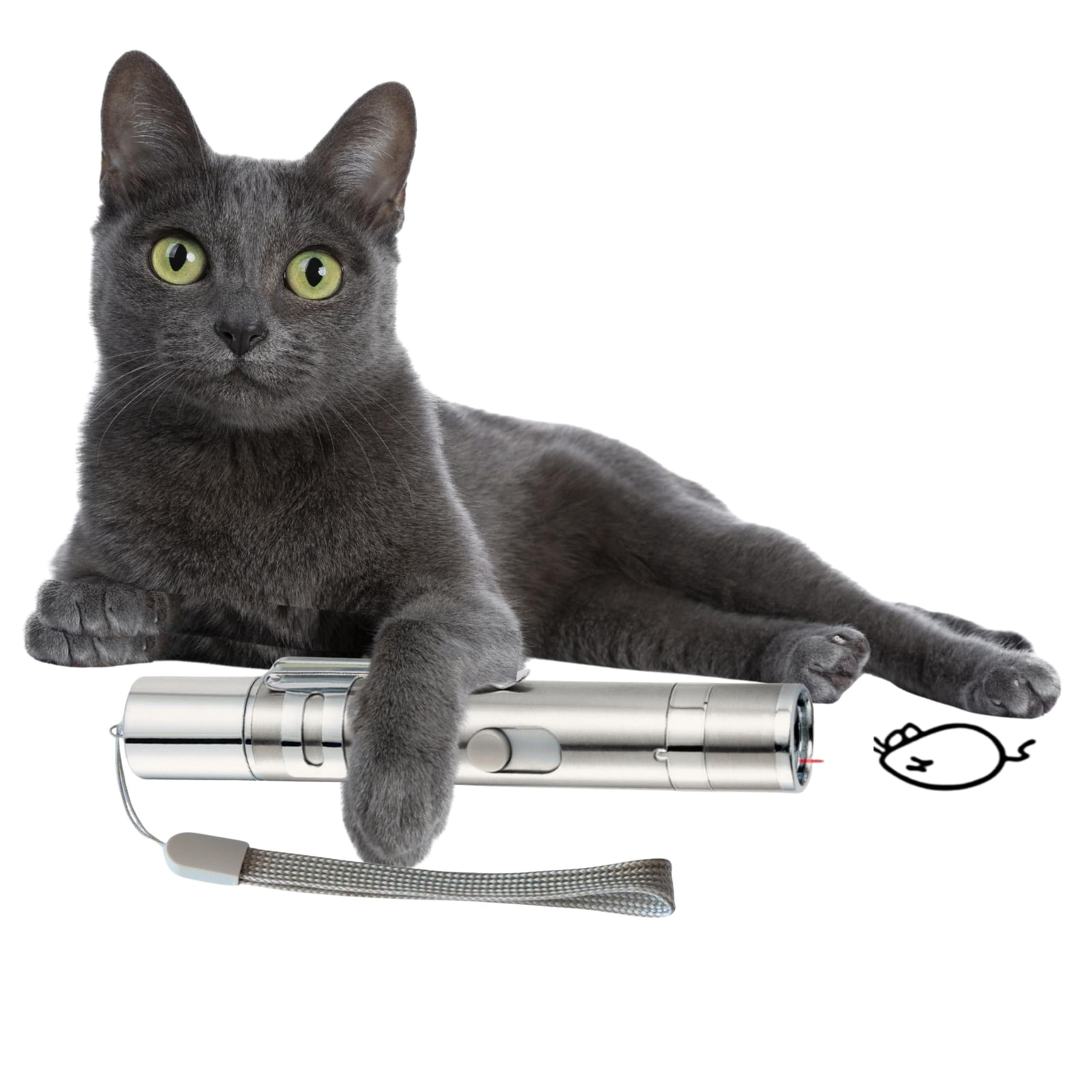 EASERIA Interaktives Katzenspielzeug, Katze Spielzeug for Training und Jagd