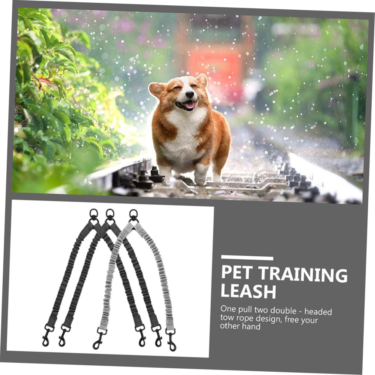 Levemolo Correa Doble Control Manual y Resistente para Perros Reflectante y Acero Inoxidable de Poliéster 3 Piezas para Paseos al Aire Libre
