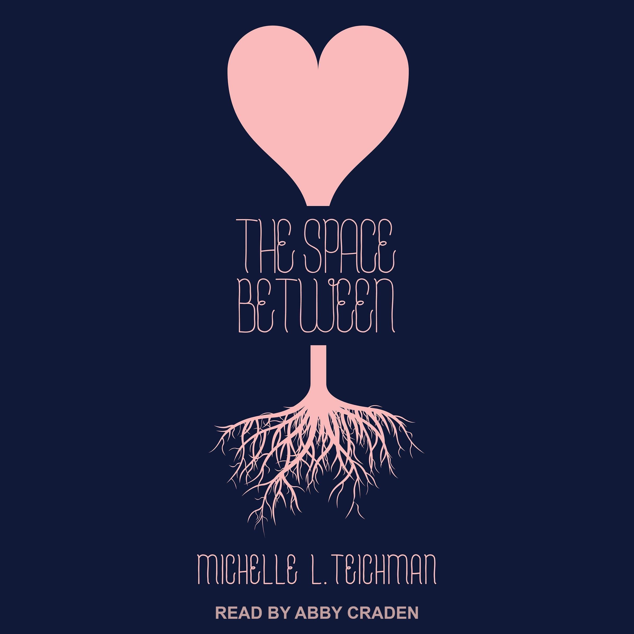 Cover art for The Space Between