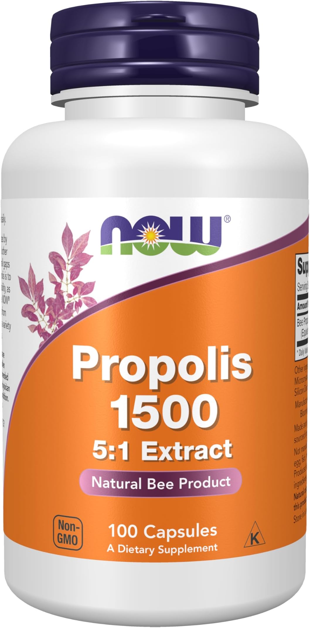 NaFoods Propolis 1500 mg 100 Tablets