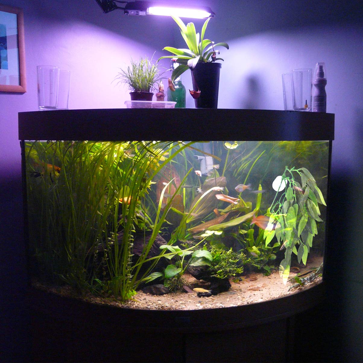 HEEPDD Reptiles Habitat Decor, 6.89ft Long Vine Habitat Decor Artificial Leaves Hanging Flexible Vines For Lizard Frogs Snakes And More Reptiles(Green Leaf