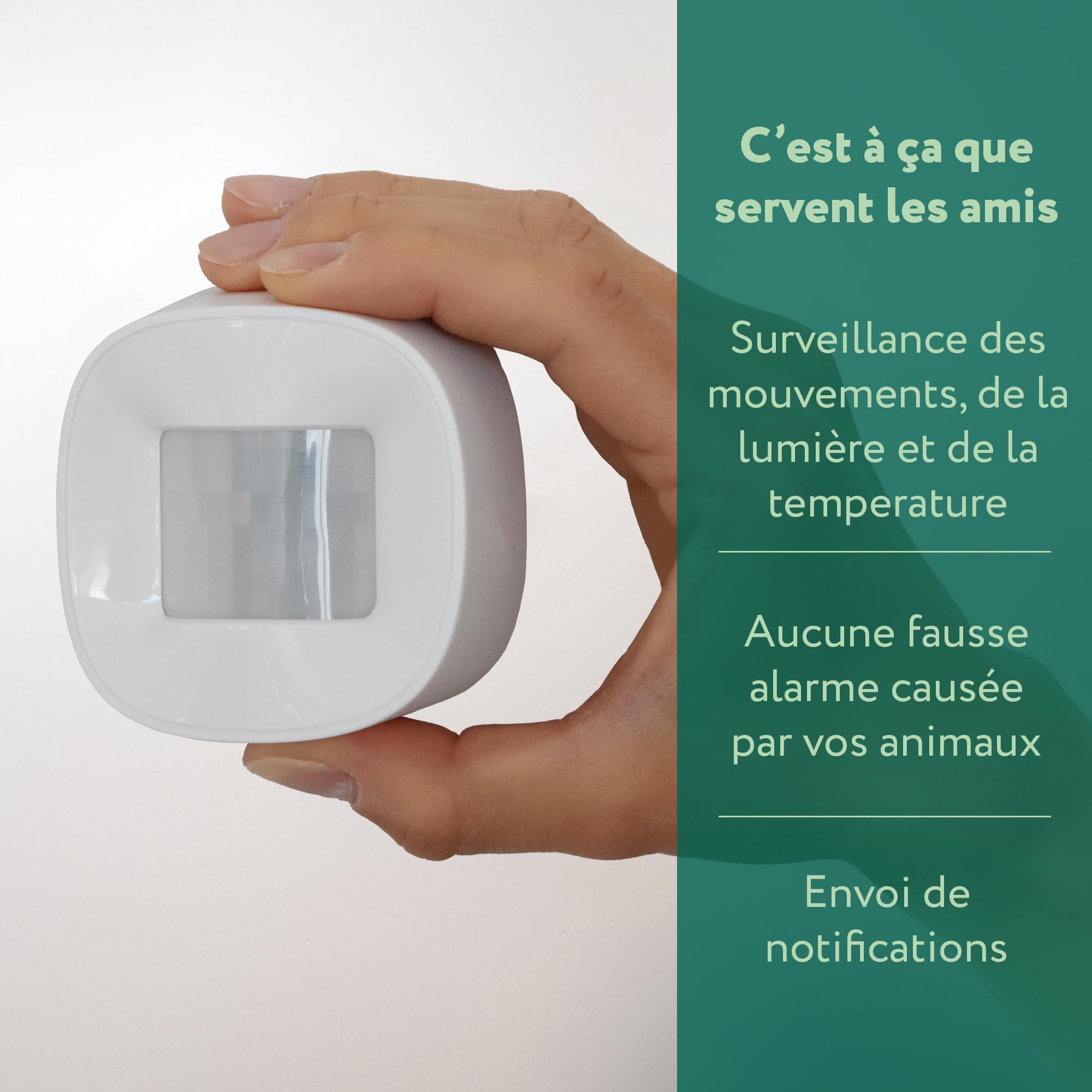 frient Motion Sensor 2 Pet - Capteur de Mouvement Zigbee et Température