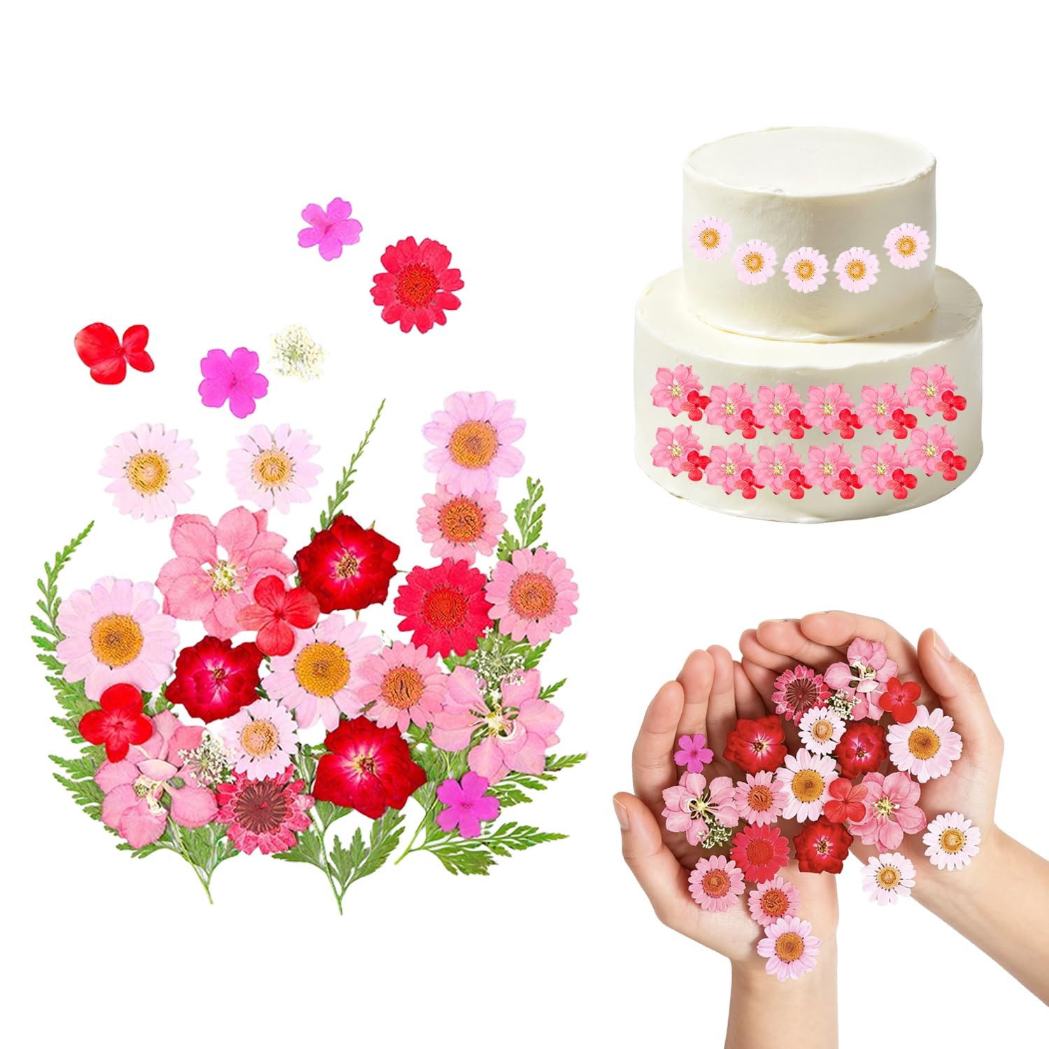 30 Pcs Dried Flowers for Cakes, Pressed Flowers for Cake Decorating – Real Dry Flowers for Cupcakes Desserts, Dried Flowers for Crafts, Pressed Flowers for Crafts (Red)