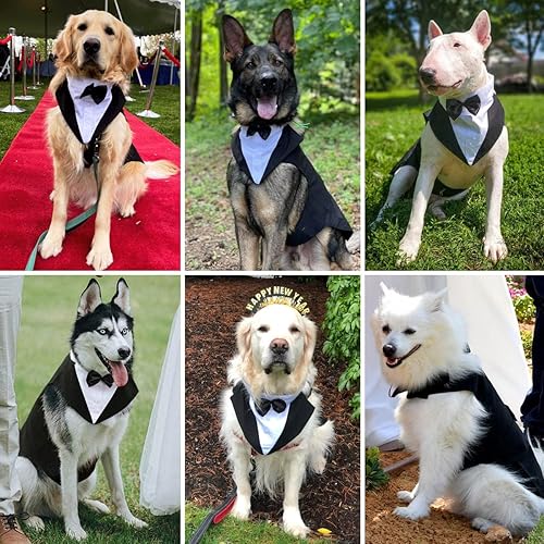 Miniatura 7 de Juego de esmoquin y bandana para perro, paquete de 2 disfraces para mascotas, traje de fiesta formal para cachorros, ropa de perro para perros
