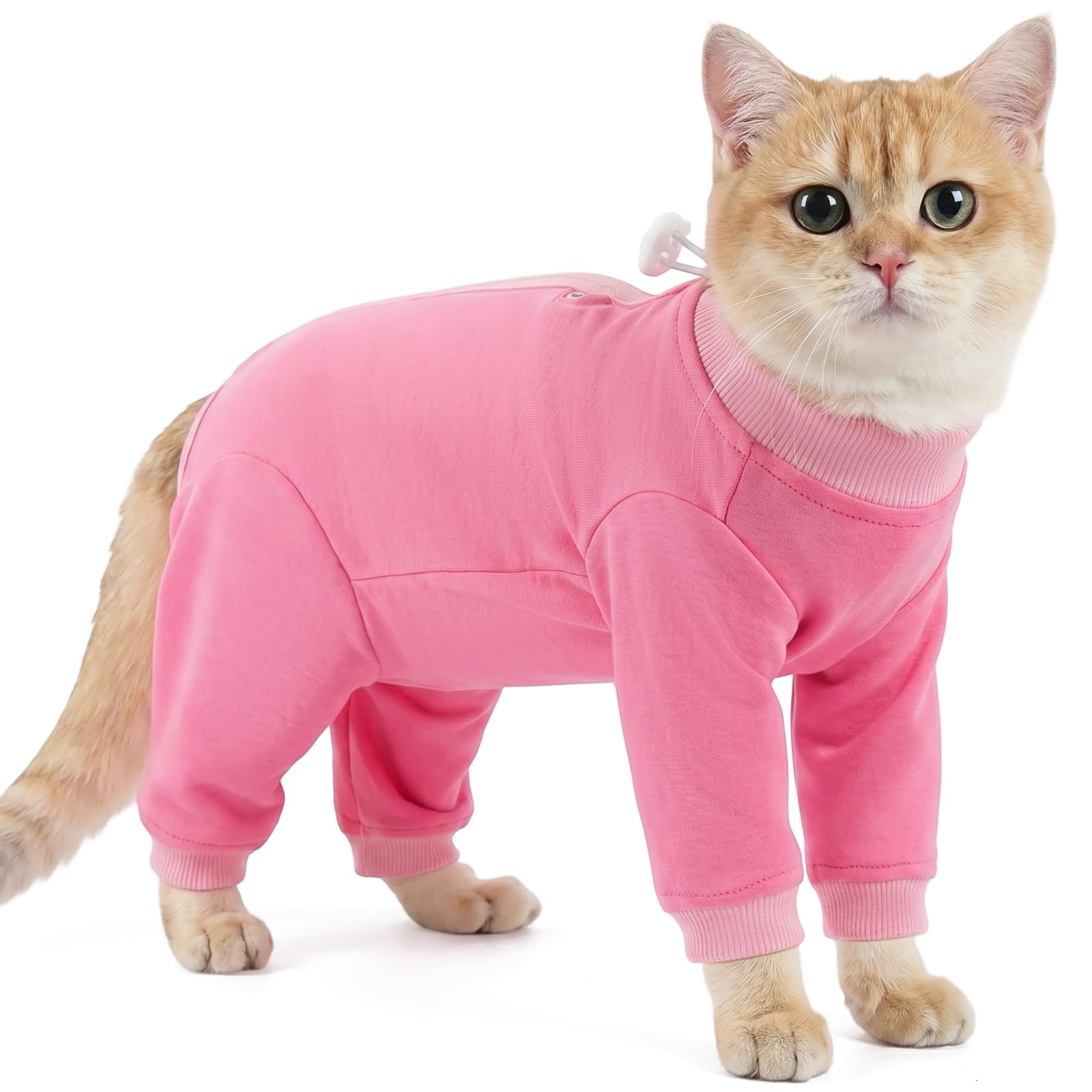 Body Gata Esterilizacion, Transpirable Ropa De Recuperación Postoperatoria Traje Anti Lamida Para Gatos Camiseta De Recuperación Body Operacion Tras La Esterilización O Castración(Rosa, M)