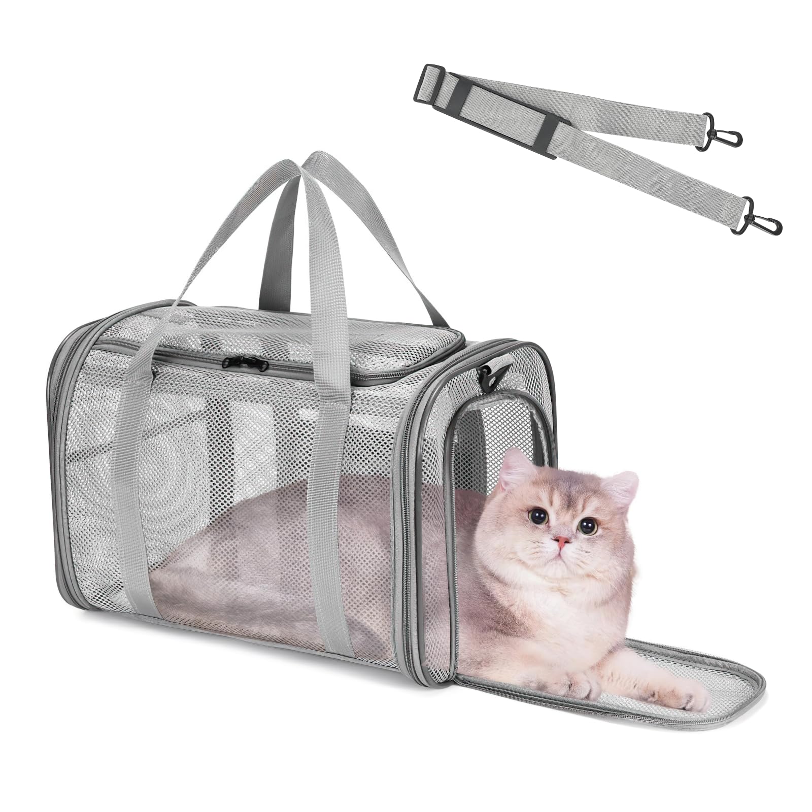 Katzentragetasche, Transporttasche für Katze Hund, Hundetransportbox Hundebox Faltbar, Katzentransportbox mit Tasche & Griffen, Transportbox für Kleine Hund Katze, Zug, Reisen(42x26x29cm)