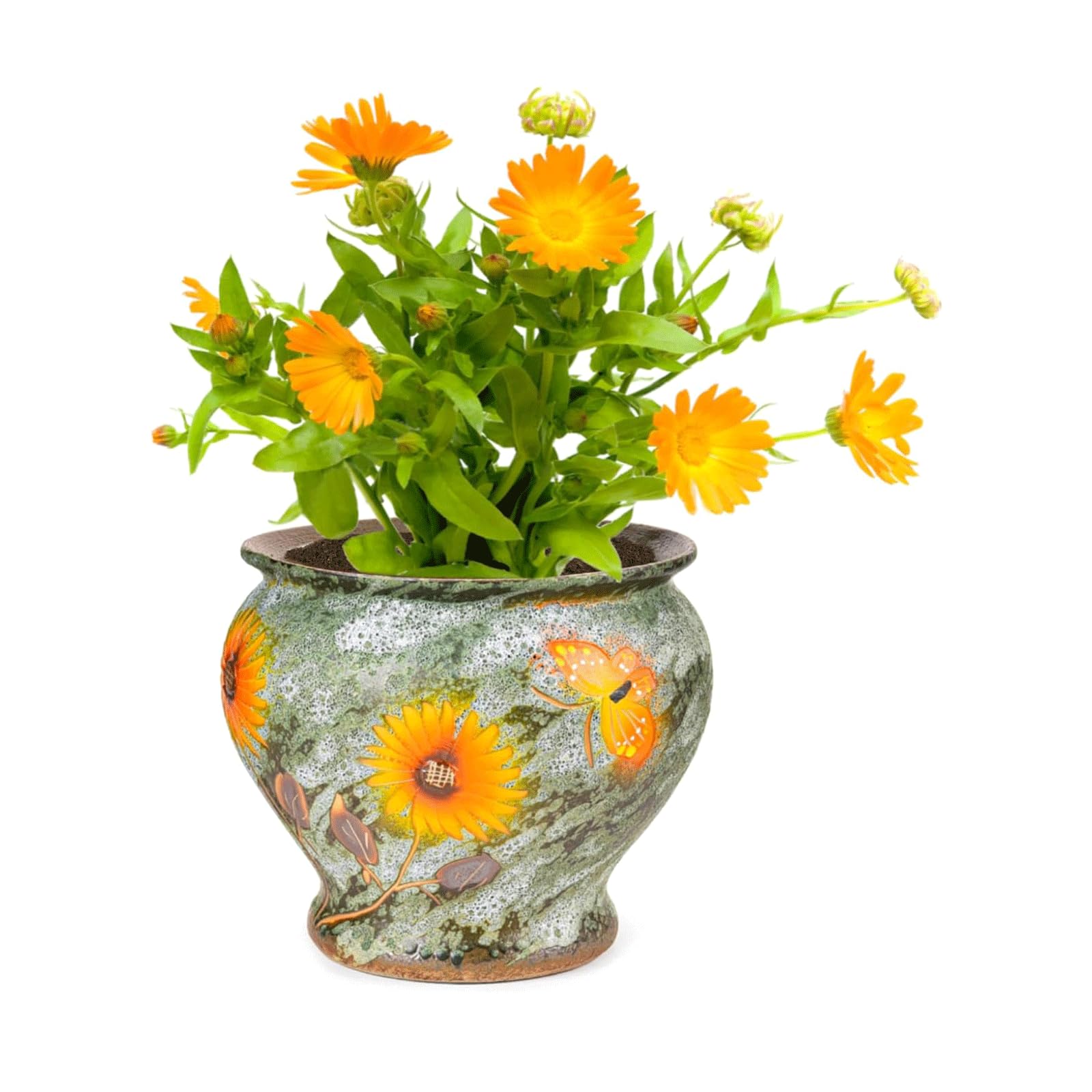 Sukkulenten Keramik Blumentopf mit Drainageloch, Barockstil, Pflanzkübel für Innen und Außen Perfekt für Blumen, Ideale Pflanzentöpfe für Zimmerpflanzen, Kleine Pflanzgefäße