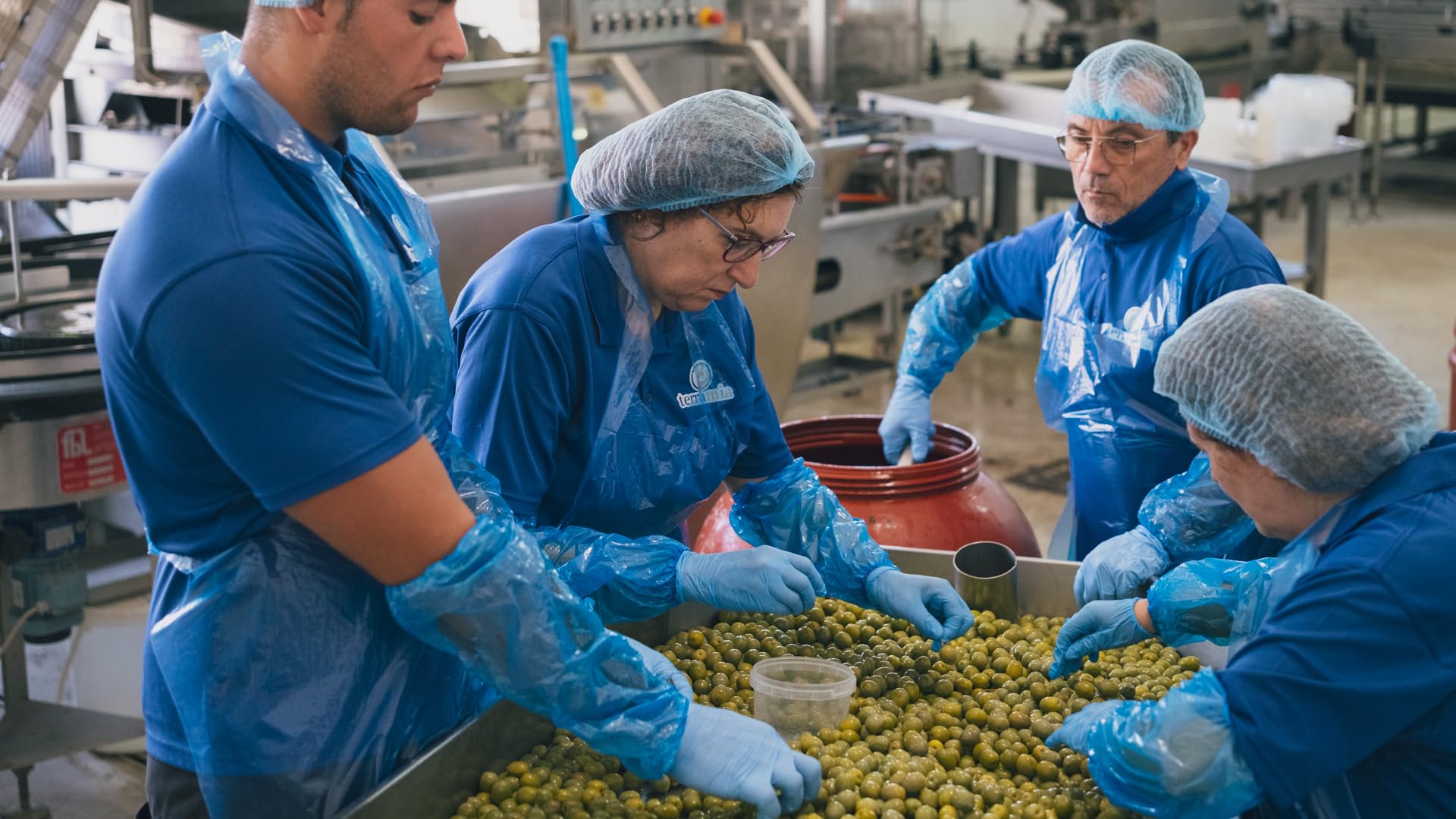 Terramia Olive Verdi Denocciolate Condite con Aromi Secchi e Olio EVO – Prodotto Artigianale da Azienda Premiata Ercole Olivario e Monna Oliva, Formato Scorta 2kg (4 Buste x 500g)