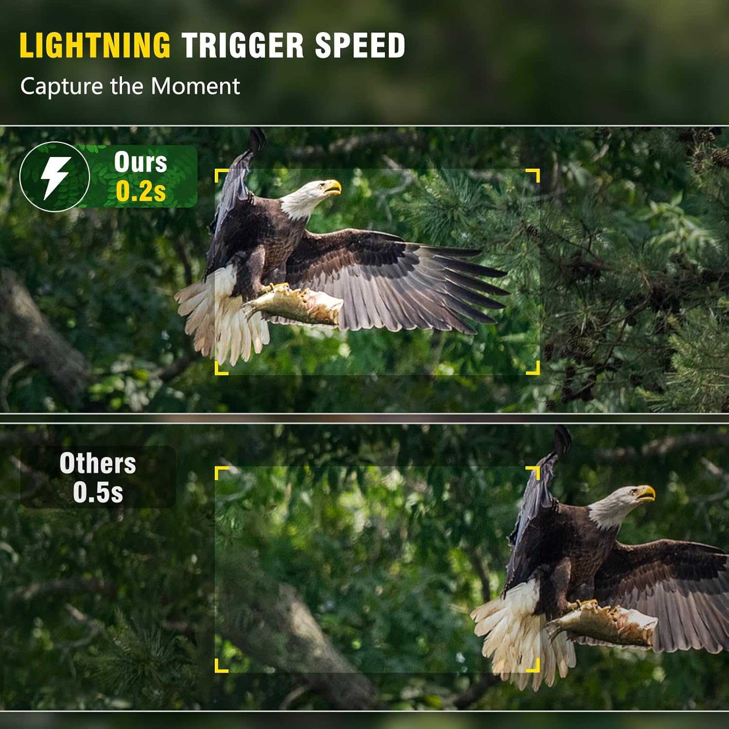 Comparison of 0.2s trigger speed from the trail camera versus 0.5s from other cameras, showing a clear eagle capture