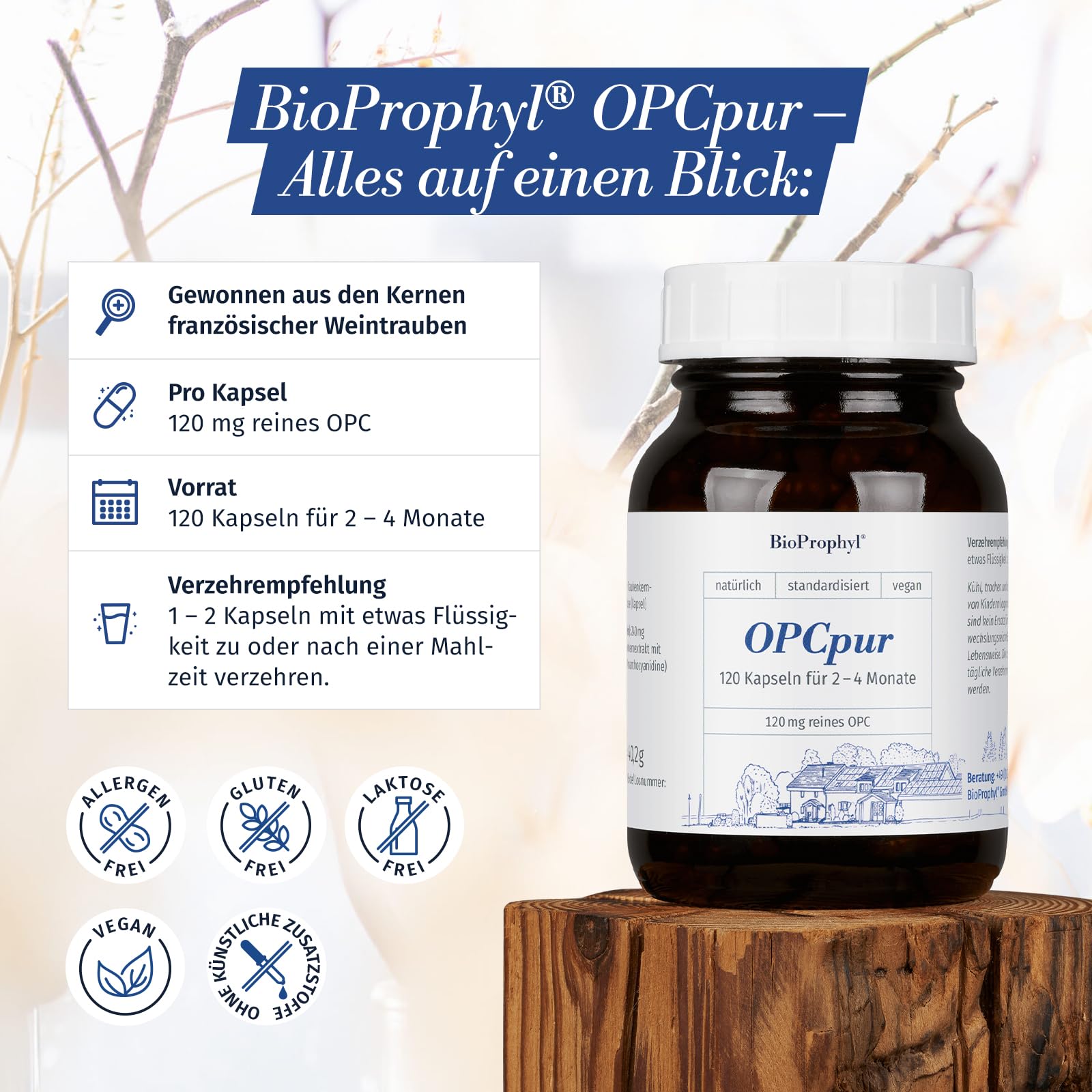 OPCpur | 120 mg reines OPC ohne Vitamin C - 300 mg Traubenkernextrakt aus französischen Traubenkernen - 120 pflanzliche Kapseln für 2-4 Monate