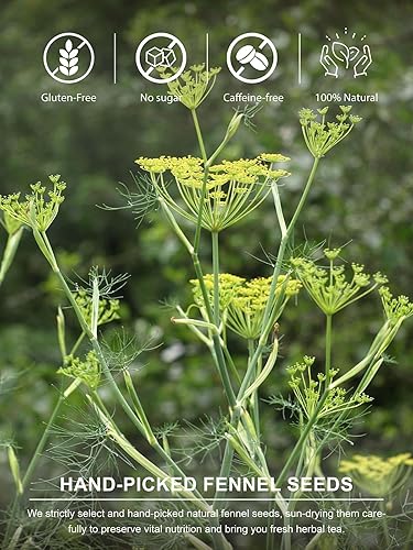 Vista 235 de TeeLux Mugwort Tea Bags - Té de hierbas de artemisa seca natural, sin cafeína, 40 bolsas de té