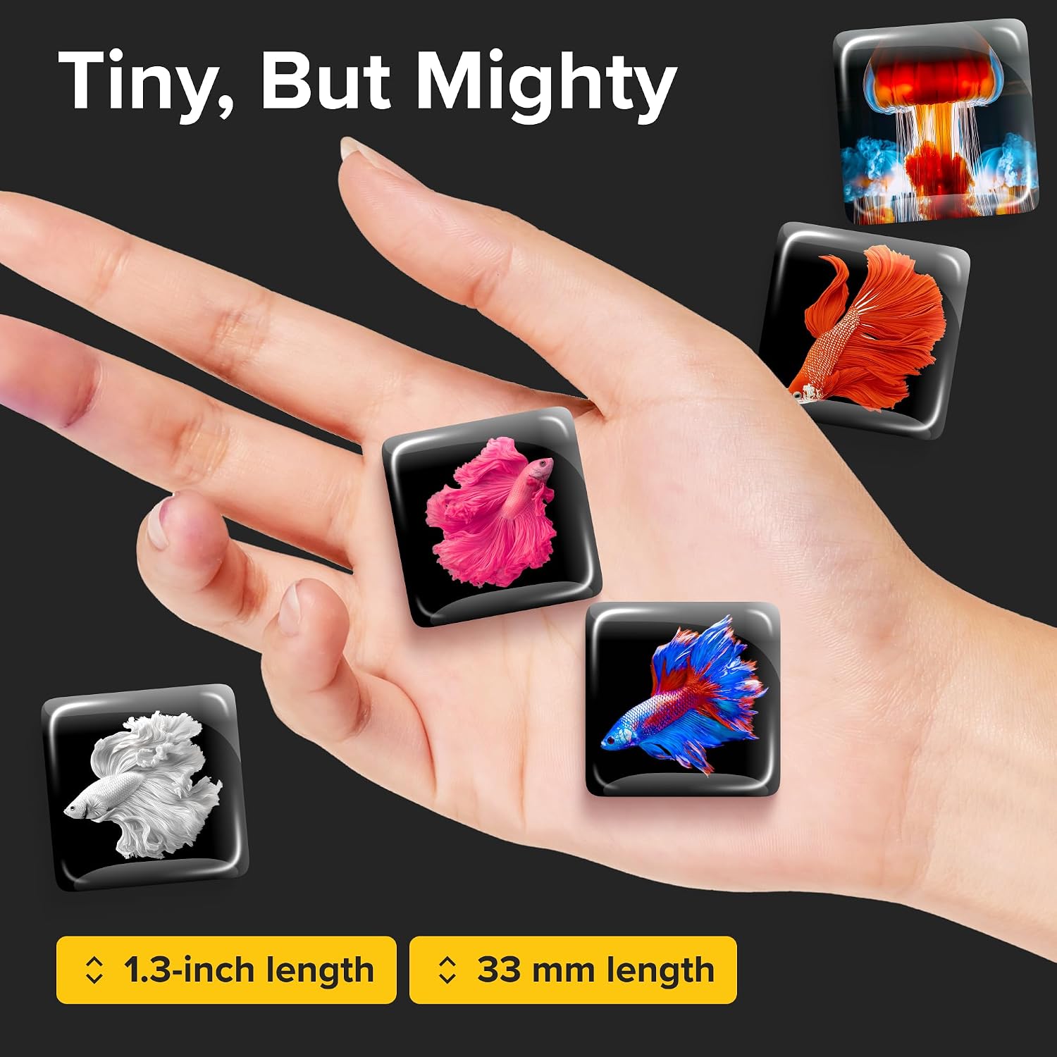 Super Cute Glass Fridge Magnets, Black Fish, 12 pcs image 2