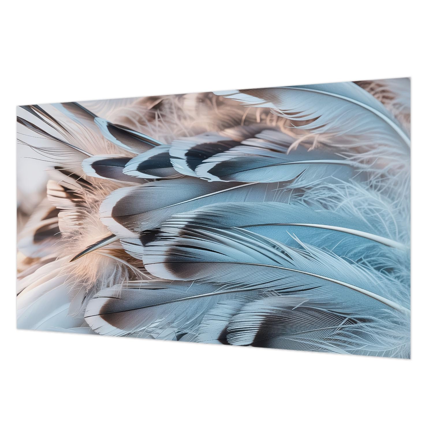 Décoration murale plumes bleues 416x254 cm pour un salon apaisant