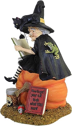 Miniatura 4 de Bethany Lowe Cómo entrenar a tu gato negro, TD1203