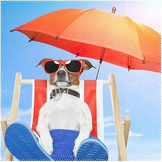 XiangHeFu Tovagliette Cane Prendere Il Sole sulla Sedia a Sdraio 30,5 x 30,5 cm One Piece termoresistente Antiscivolo per Tavolo, Poliestere e Misto Poliestere, Image 238, 12x12x4(in)