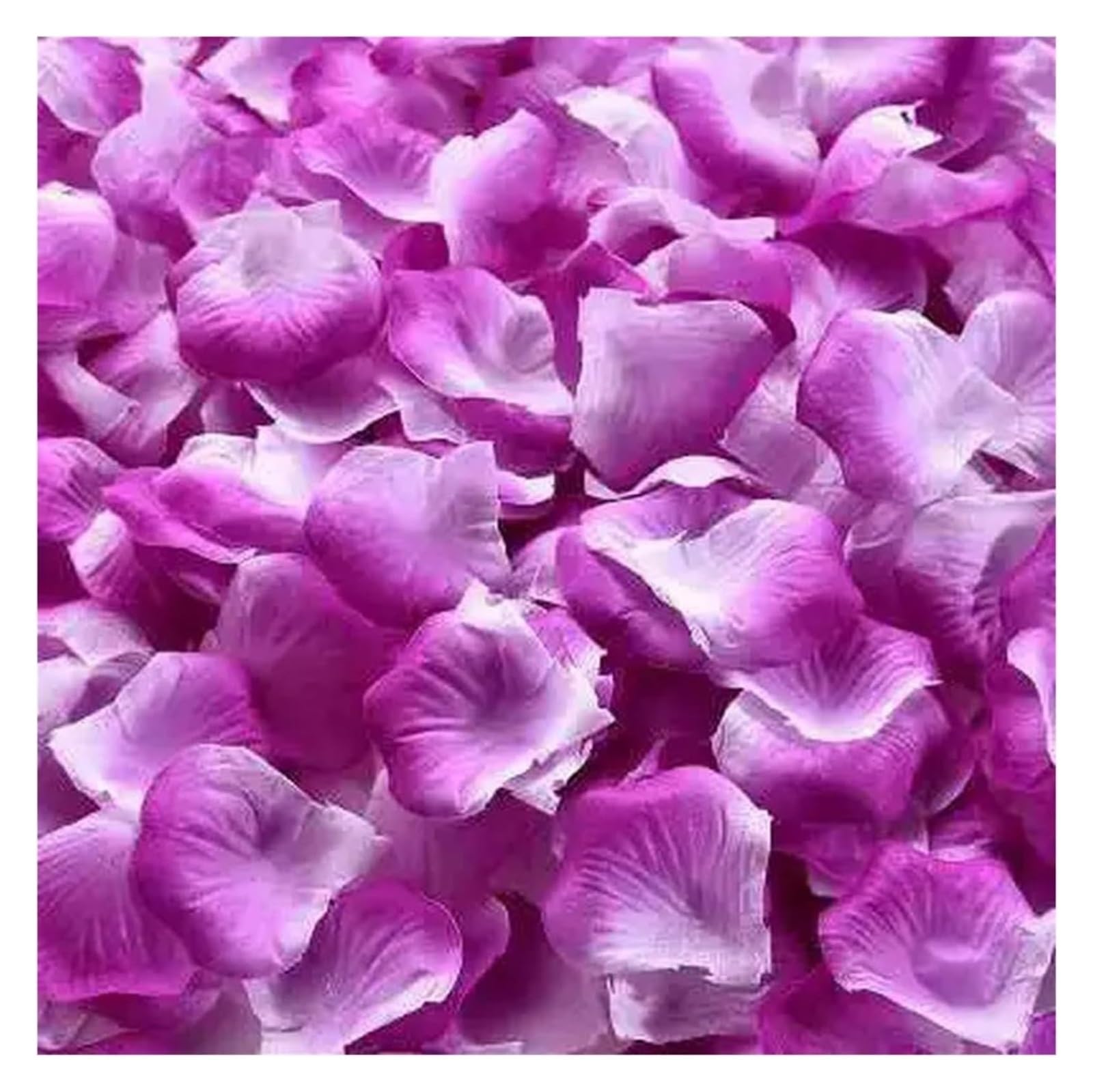 BPABDEITR Artificial Silk Rose Petals Multicolor 1000/3000 Pcs Wedding Decoration(Purple White,1000pcs)