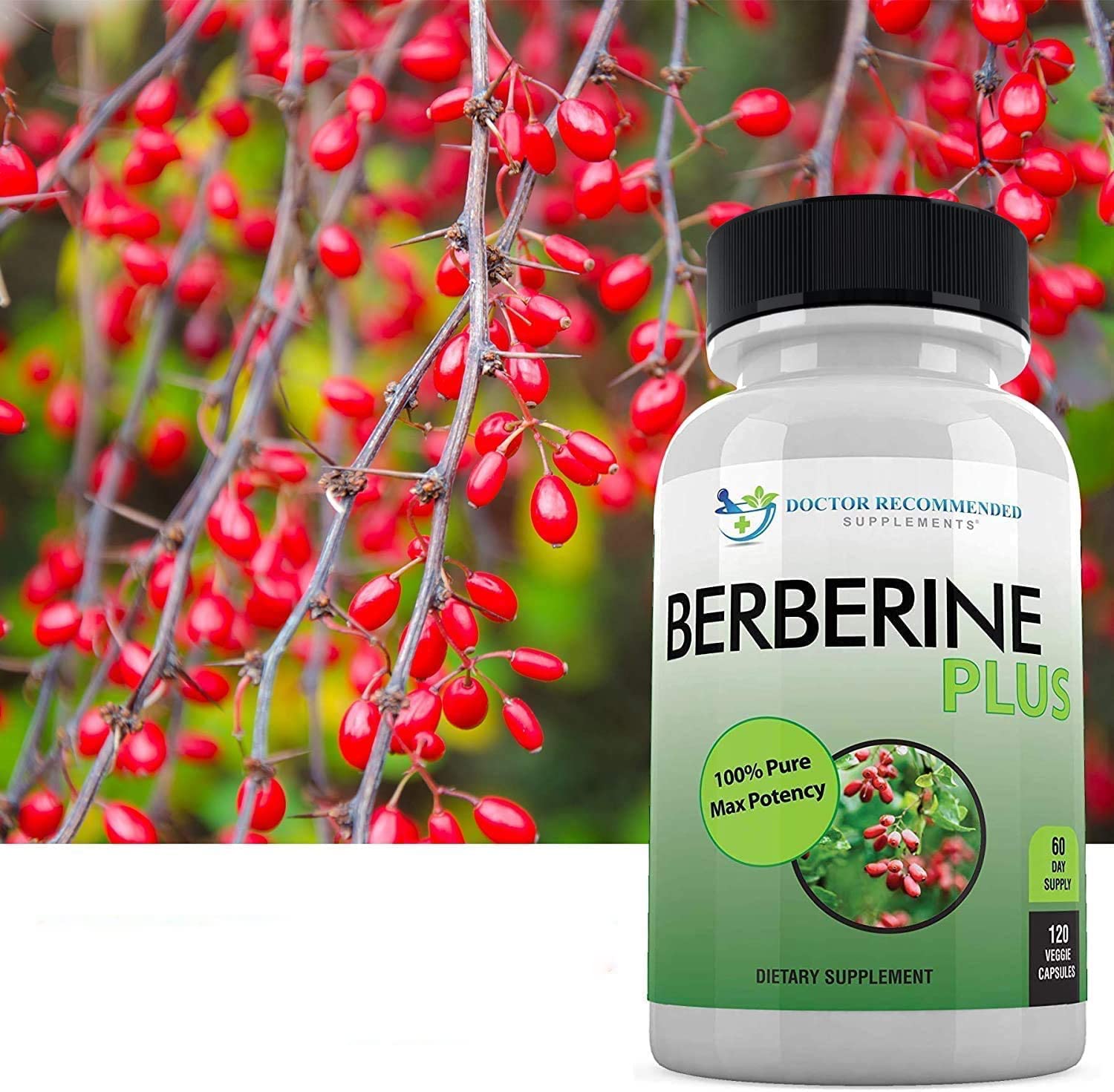 DOCTOR RECOMMENDED SUPPLEMENTS Berberine Plus 1200mg Per Serving - 120 Veggie Capsules Royal Jelly (120 Count (Pack of 2)) — Amazon image 4