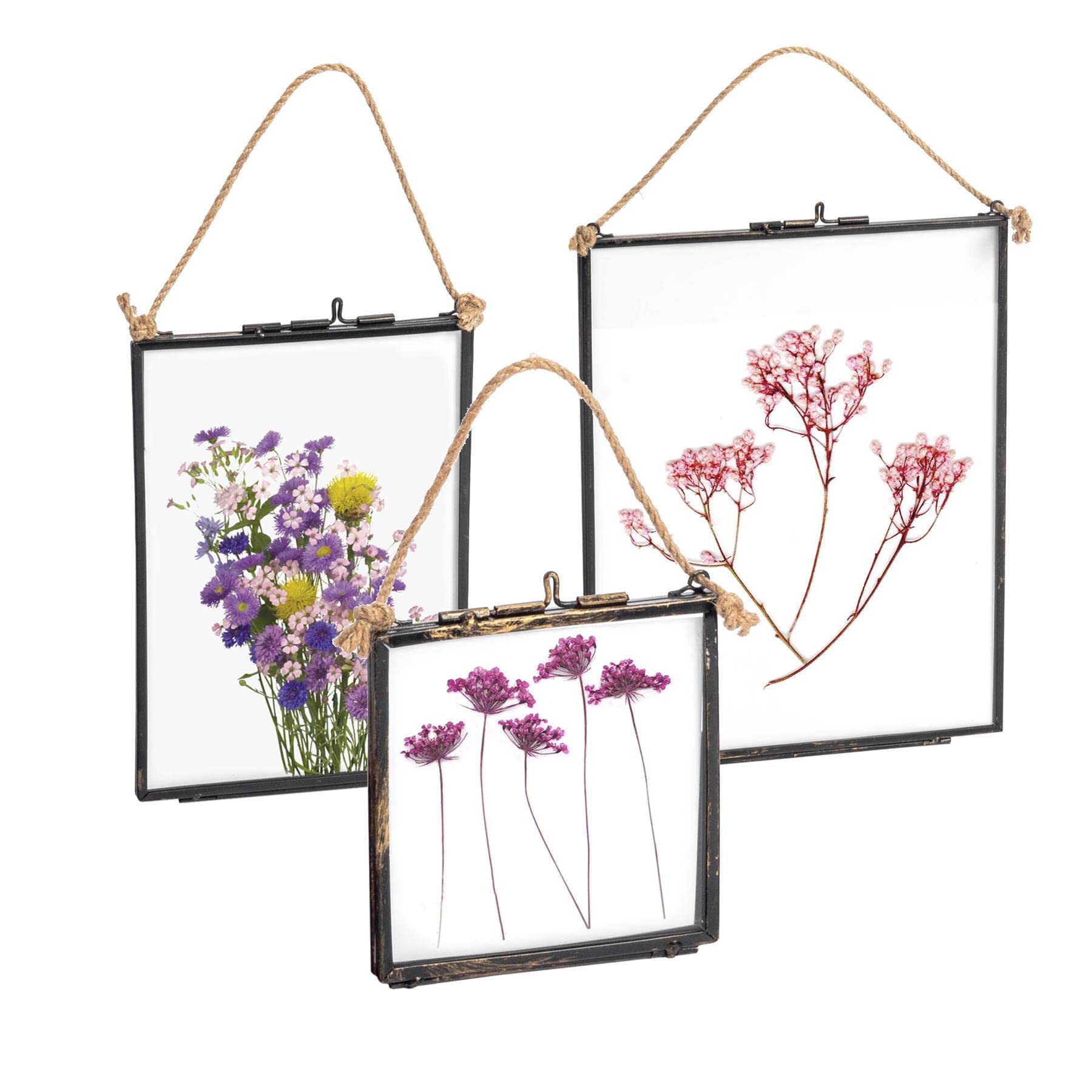 Nicola Spring Hanging Metal Photo Frame Gallery Set - 3 Sizes Black Vintage Glass Picture Frames with Rope Wall Display - Rustic Industrial Home Décor for Photos, Prints & Artwork