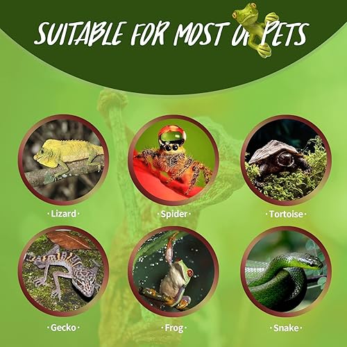 Miniatura 5 de AOMRYOM Paquete de 2 bombillas UVA de 75 W, luz blanca suave, para reptiles y anfibios