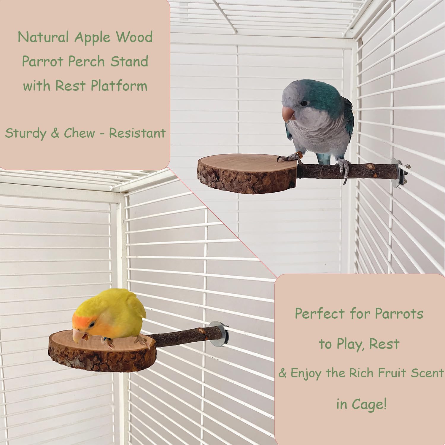 4 Pack Bird Perches for Cage with Natural Wood, ROOJUNE Bird Cage Accessories Bird Perch Platform for Small Medium Parakeets Parrots Conures Cockatiels Finches Lovebirds - image 2
