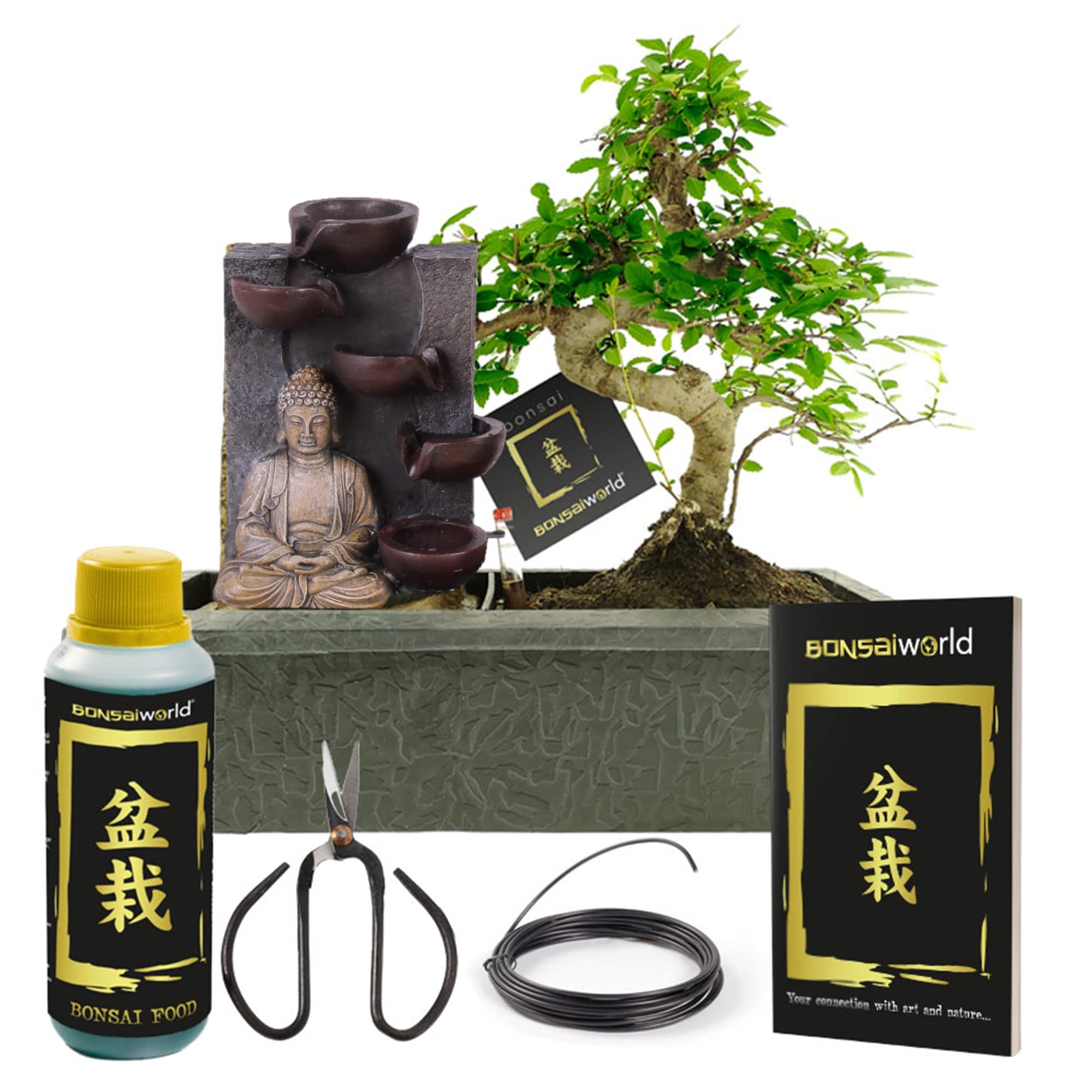 Vdvelde․com - Echter Bonsai Baum Set ca. 30 cm - Keramik Topf, Schere & Pflege Set - Buddha Zimmerbrunnen - Zen Tischbrunnen - Komplettset Zimmerpflanze