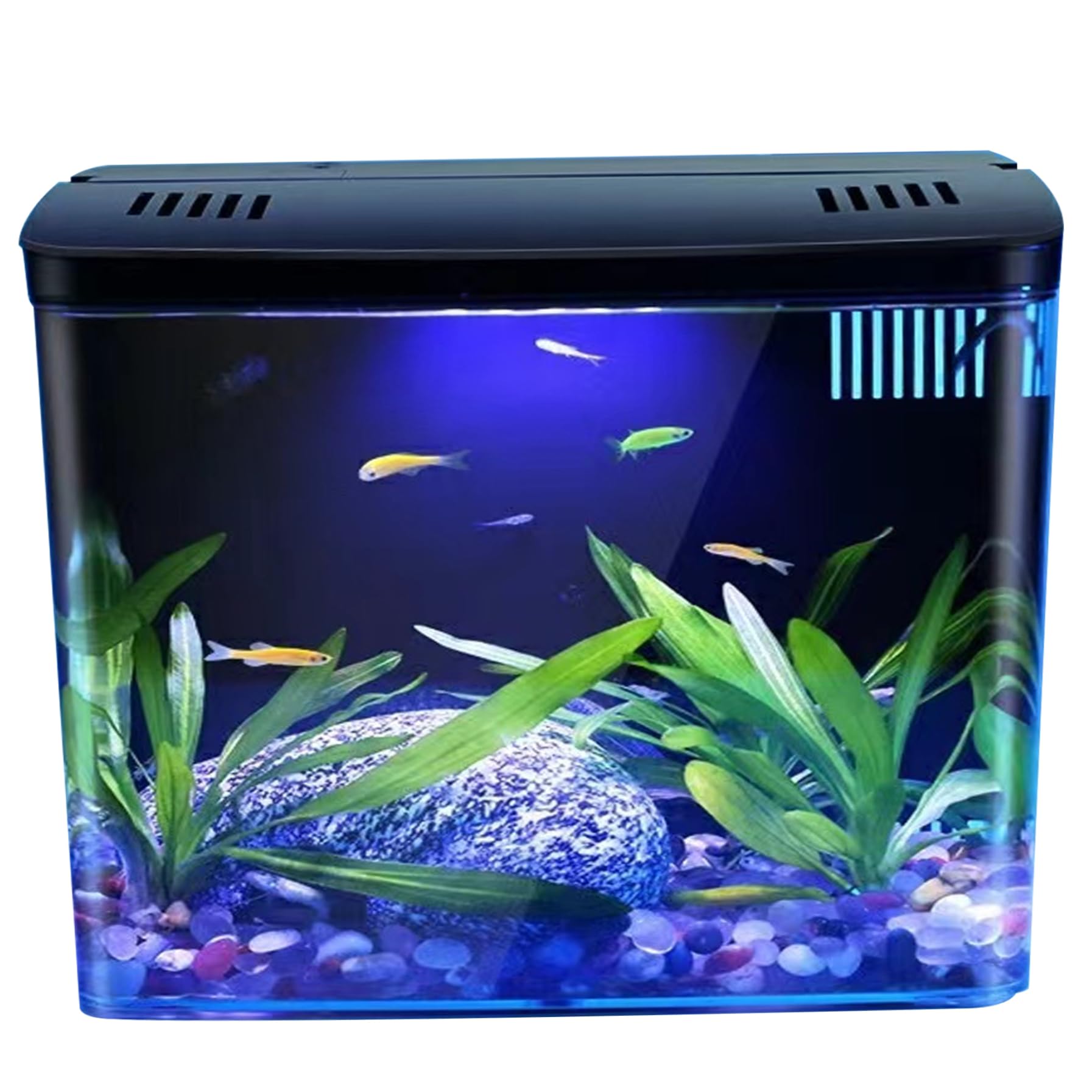 Acquario Da 1,3 Galloni Per Pesci Betta, Gamberetti E Rossi - Trasparente Con Filtro A 3 Strati, Luce LED, Autopulente - Decorazione Per La Casa - Nero