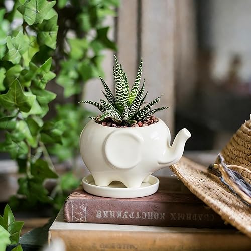 Miniatura 6 de GeLive - Maceta de cerámica para plantas suculentas con forma de elefante blanco, caja de ventana con platillo, decoración de mesa para interiores,