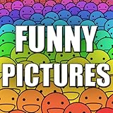 Funny Pictures