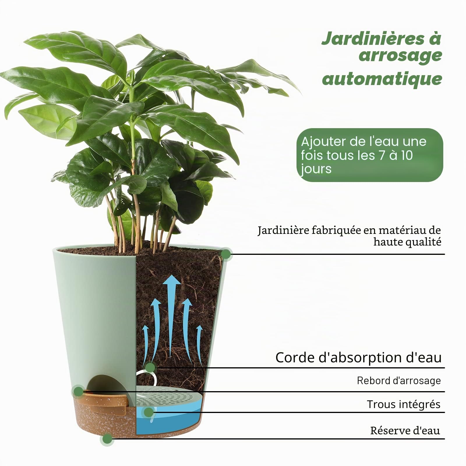 YNNICO Pots de Fleurs d'intérieur de 20,3 cm, 16,5 cm, 14,9 cm, 14,9 cm, 14,9 cm, 13,9 cm, 13,9 cm, 13,9 cm, 13,9 cm, 13,9 cm, 12,7 cm, Pots de Fleurs en Plastique