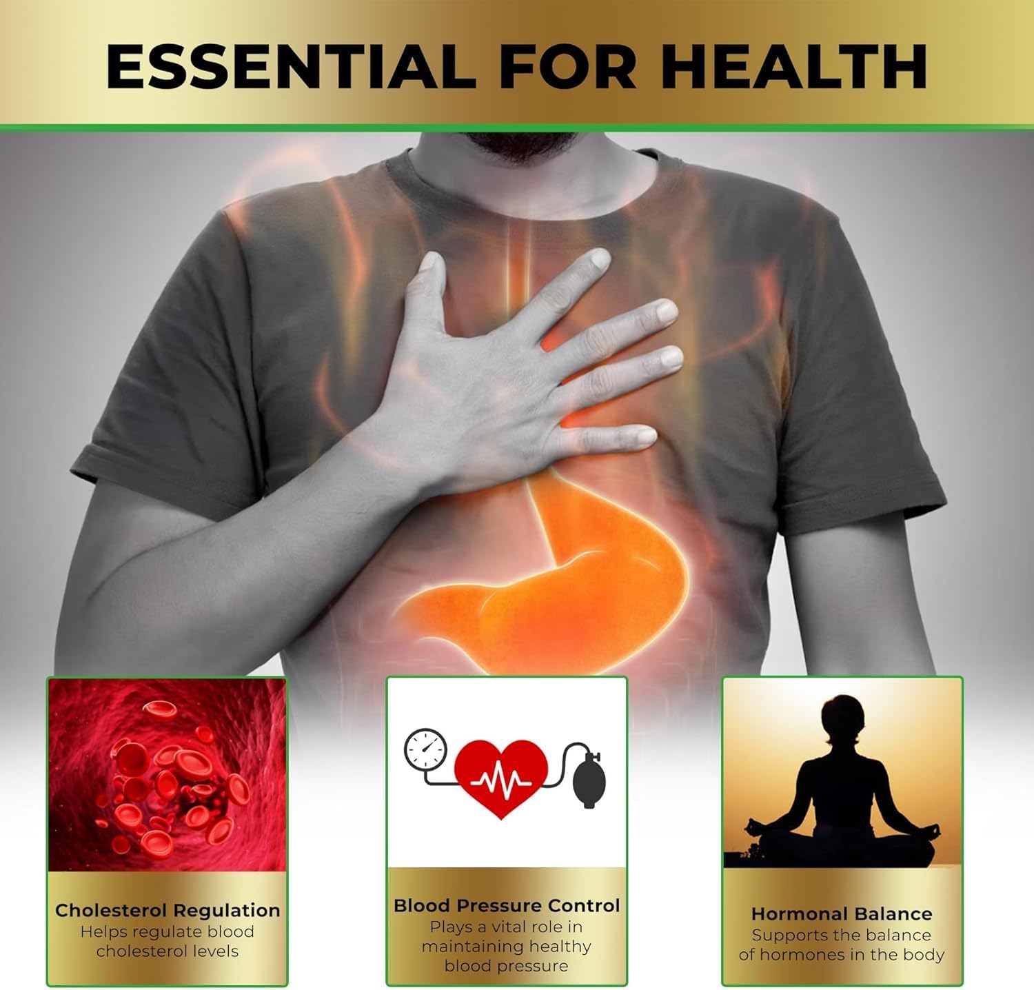 Liver Support Supplements – Cycle Support Liver Cleanse Detox and Repair – Choline Supplement – PCT Blood Pressure Supplement – 120 Capsules (2)